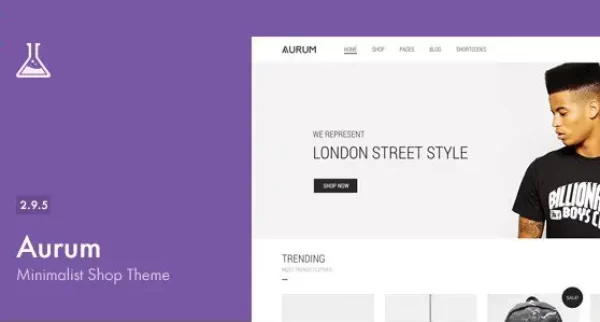 Aurum – Minimalist Shopping Theme Aurum – Minimalist Shopping Theme