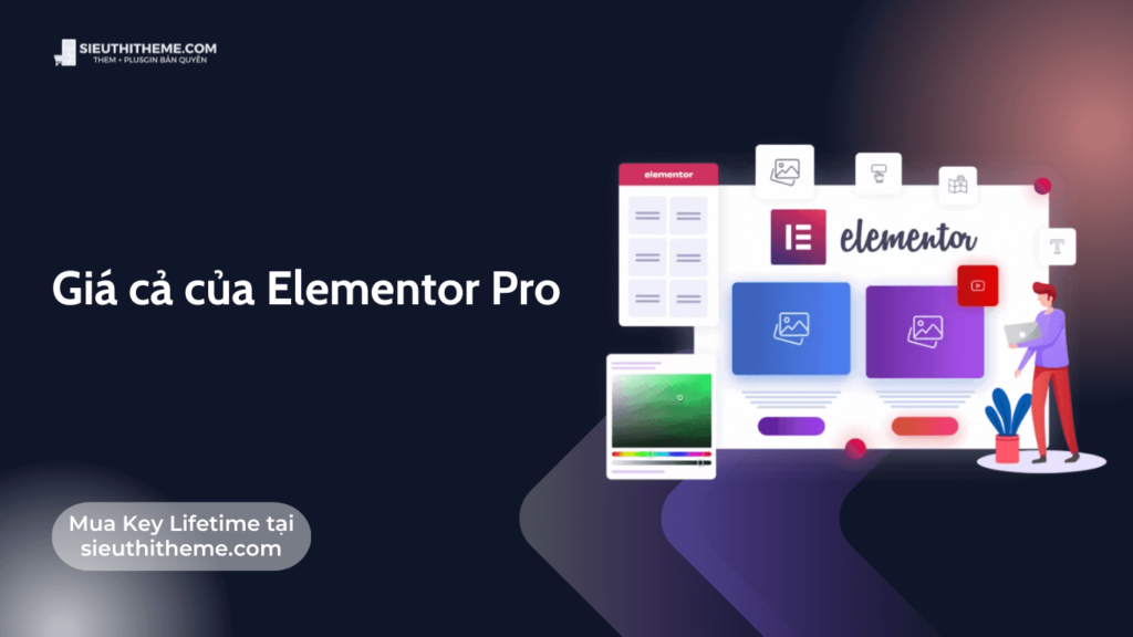 Gia ca cua Elementor Pro