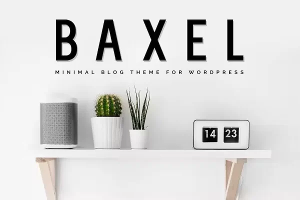 Baxel – Minimal Blog Theme for WordPress Baxel – Minimal Blog Theme for WordPress