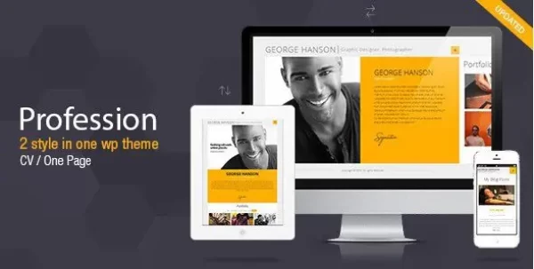 Profession – One Page CV Resume Theme